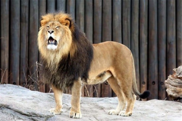 Foto - Keşke hiç öğrenmeseydim diyeceğiniz gerçekler