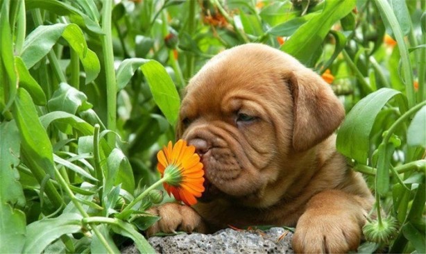 Foto - Keşke hiç öğrenmeseydim diyeceğiniz gerçekler