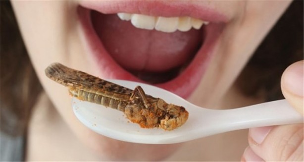 Foto - Keşke hiç öğrenmeseydim diyeceğiniz gerçekler