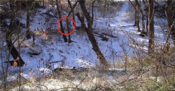 Foto - Keskin nişancıyı görebildiniz mi?