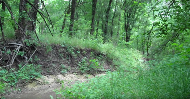 Foto - Keskin nişancıyı görebildiniz mi?