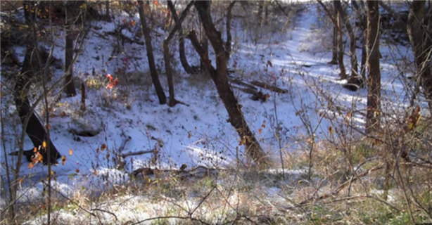 Foto - Keskin nişancıyı görebildiniz mi?