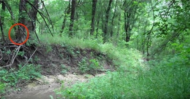 Foto - Keskin nişancıyı görebildiniz mi?