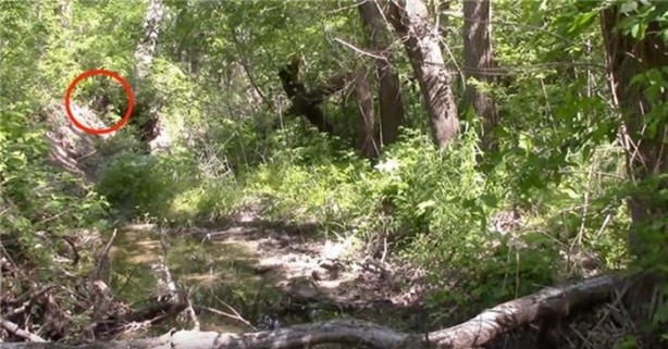 Foto - Keskin nişancıyı görebildiniz mi?