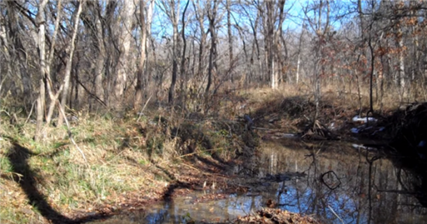 Foto - Keskin nişancıyı görebildiniz mi?