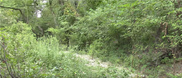 Foto - Keskin nişancıyı görebildiniz mi?