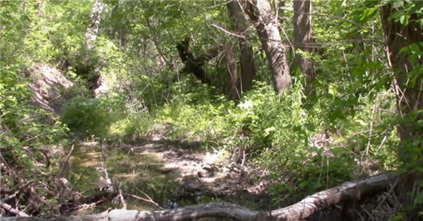 Foto - Keskin nişancıyı görebildiniz mi?