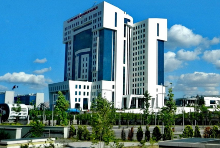 Foto - Kestane ağaçlarına öyle bir böcek dadandı ki… Karadeniz kokarca kokmaya başladı