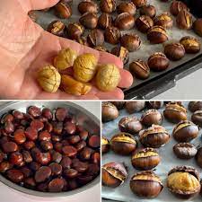 Foto - Kestane düşmanını yendiler! Arıya dayanıklı hasat başladı: Kilosu 350 TL, hem büyük hem de lezzetli