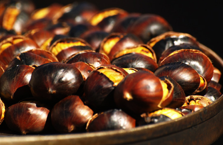 Foto - Kestane erken yaşlanmayı önlüyor