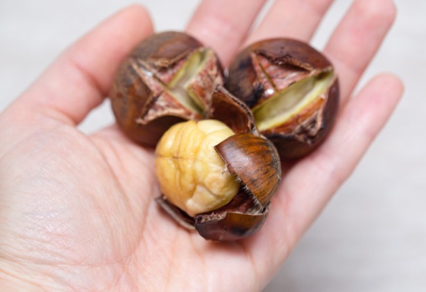 Foto - Kestane erken yaşlanmayı önlüyor