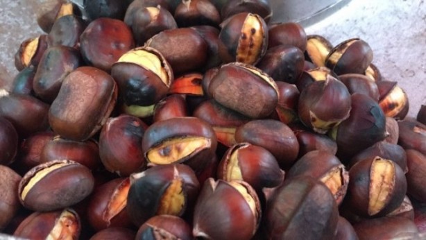 Foto - Kestane erken yaşlanmayı önlüyor