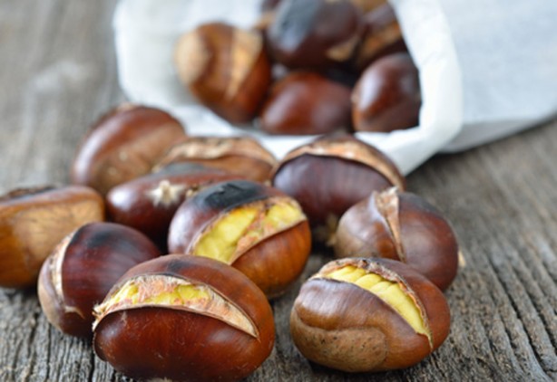 Foto - Kestane erken yaşlanmayı önlüyor