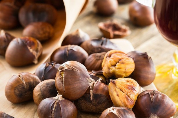 Foto - Kestane erken yaşlanmayı önlüyor