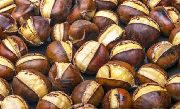 Foto - Kestane erken yaşlanmayı önlüyor