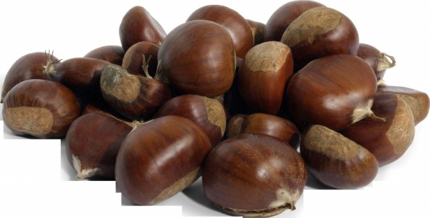 Foto - Kestane erken yaşlanmayı önlüyor