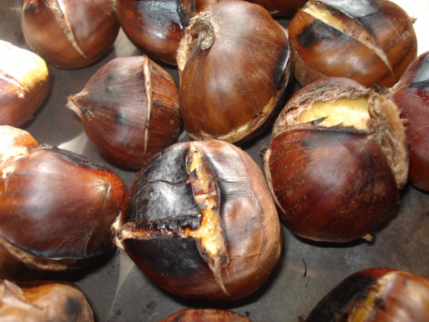 Foto - Kestane erken yaşlanmayı önlüyor