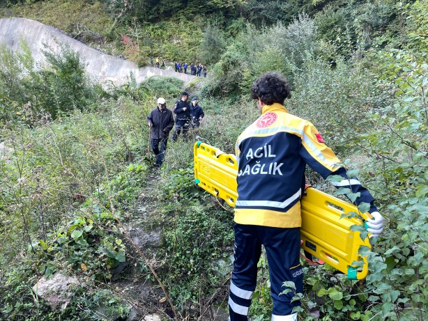 Foto - Kestane için ormana gitti! Bartın seferber oldu