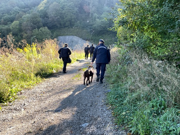 Kestane için ormana gitti! Bartın seferber oldu