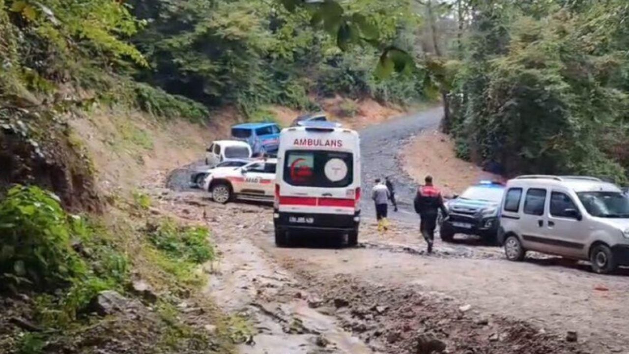 Foto - Kestane toplamak istemişti: Sakarya'da 66 yaşındaki adamın acı sonu!