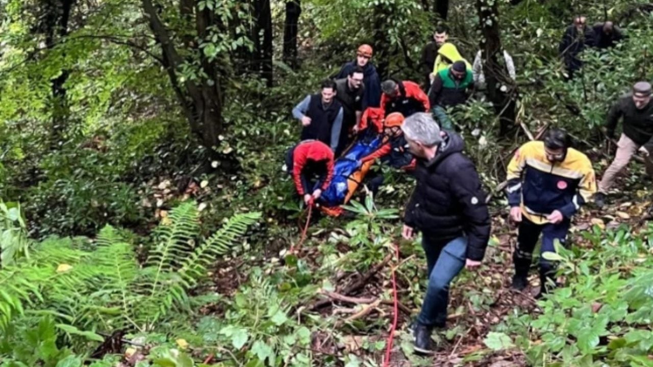 Foto - Kestane toplamak istemişti: Sakarya'da 66 yaşındaki adamın acı sonu!