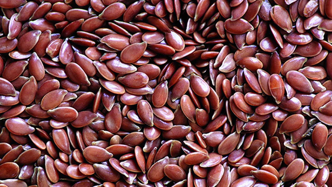 Foto - Keten tohumu iştah kapatan karışım ile etkili oluyor: Doktor bile şok oldu! 