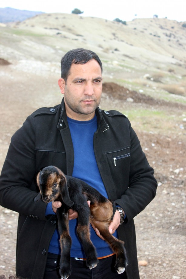 Foto - Kilis'te doğan 3 aylık oğlak hayrete düşürdü!