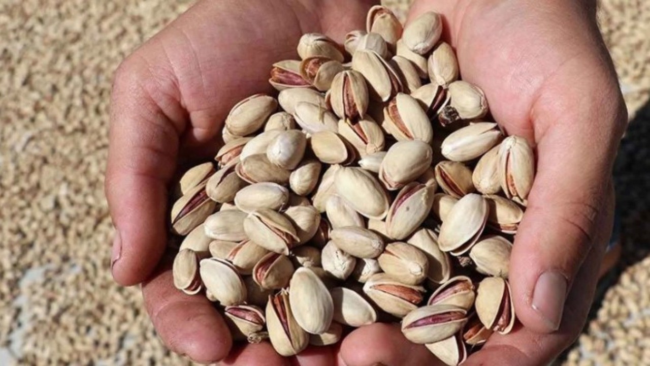 Kilo fiyatı dudak uçuklatı! Fıstık fiyatları yüzde 500 zamlandı