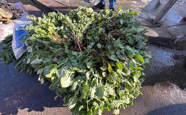 Foto - Kilo kilo alınıyor talebe yetişemiyorlar! İbn-i Sina'nın önerisi her derde deva