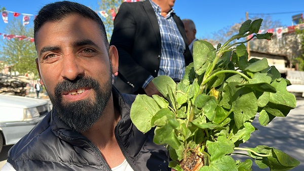 Foto - Kilo kilo alınıyor talebe yetişemiyorlar! İbn-i Sina'nın önerisi her derde deva