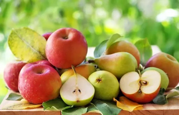 Foto - Kilo sorunu olanlar için önemli tavsiye! Sağlıklı beslenmenin olmazsa olmazı..!