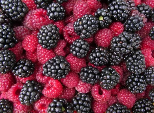 Foto - Kilo sorunu olanlar için önemli tavsiye! Sağlıklı beslenmenin olmazsa olmazı..!