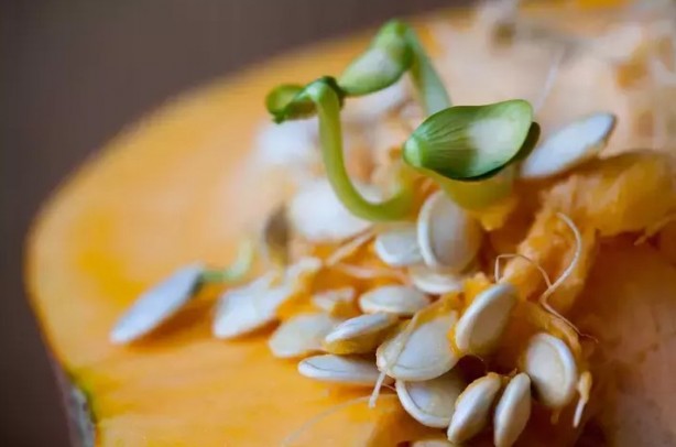 Kilo sorunu olanlar için önemli tavsiye! Sağlıklı beslenmenin olmazsa olmazı..!