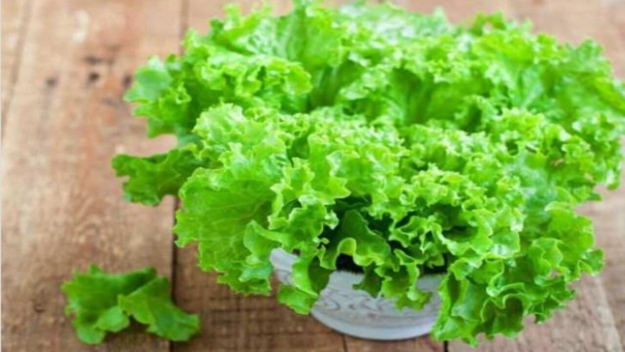 Foto - Kilo sorunu yaşayanlar buraya! Bu sebze göbek yağlarını eritiyor