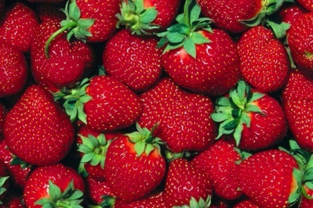 Foto - Kilo vermek için...