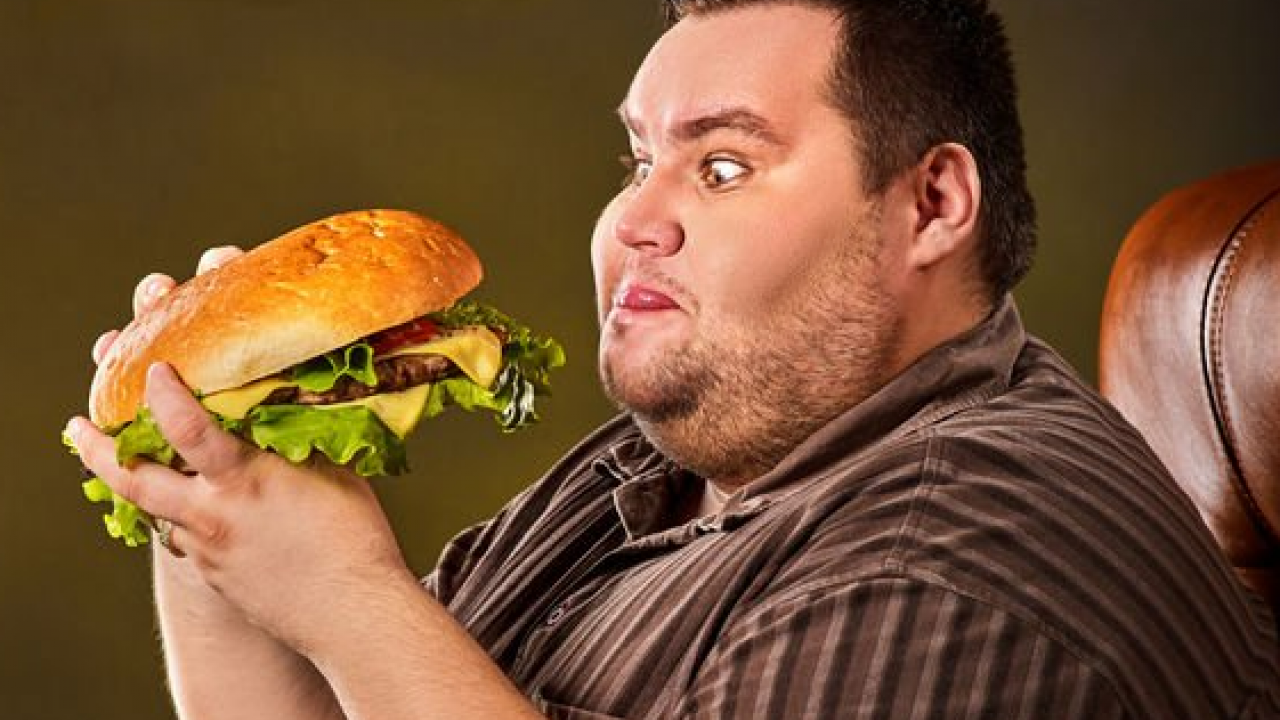 Foto - Kilo vermeye en büyük engel gıda gürültüsü: Uzmanlardan korkutan uyarı 