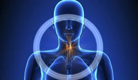 Foto - Kilo vermeyi engelleyen 5 gizli neden