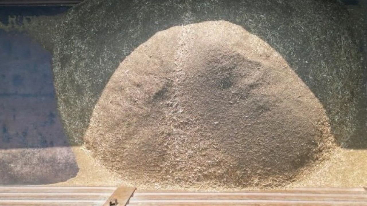 Foto - Kilogram fiyatı 100TL! Türkiye'nin her yerine bu ilimizden gidiyor