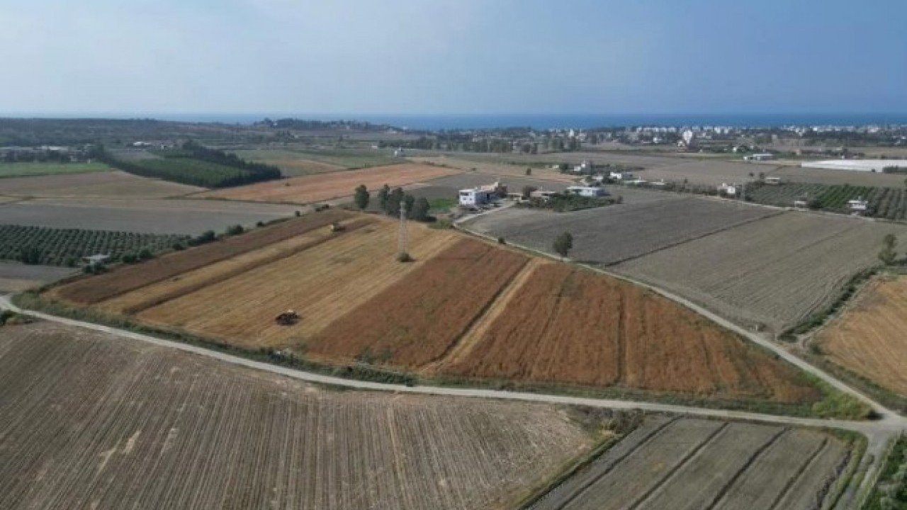 Foto - Kilogram fiyatı 100TL! Türkiye'nin her yerine bu ilimizden gidiyor