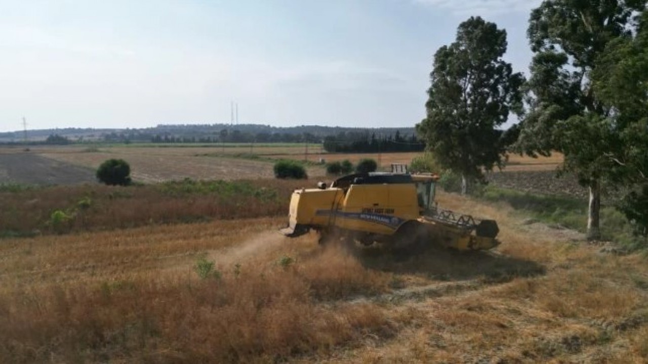 Foto - Kilogram fiyatı 100TL! Türkiye'nin her yerine bu ilimizden gidiyor