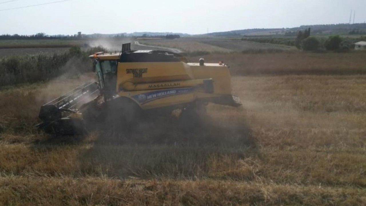 Foto - Kilogram fiyatı 100TL! Türkiye'nin her yerine bu ilimizden gidiyor