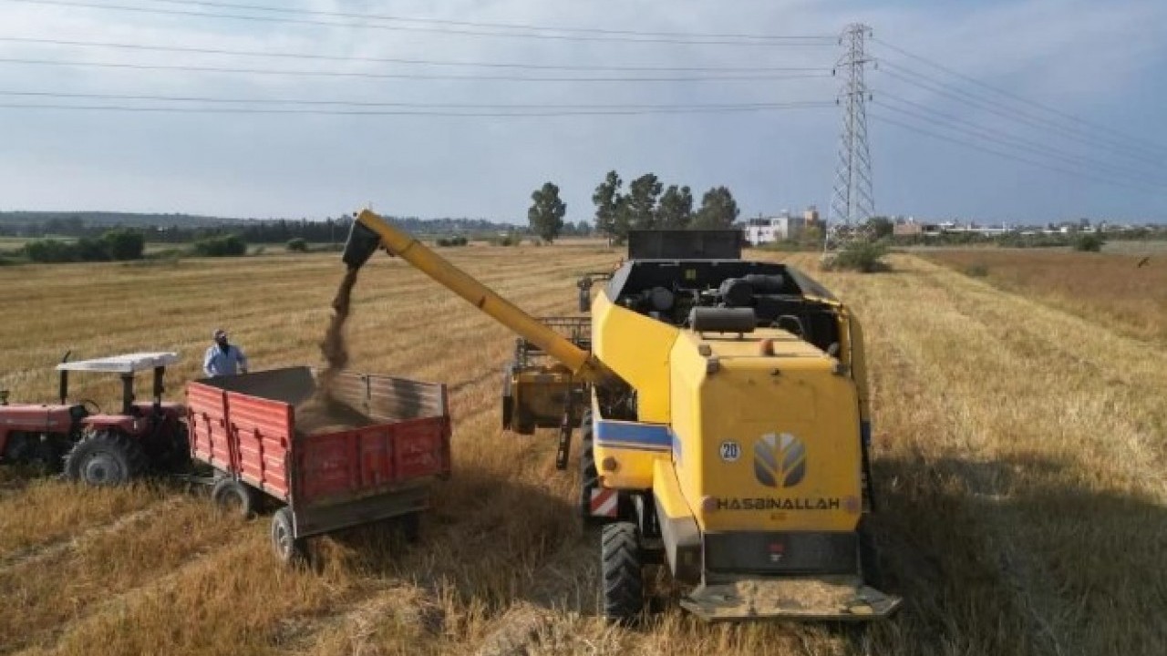 Foto - Kilogram fiyatı 100TL! Türkiye'nin her yerine bu ilimizden gidiyor