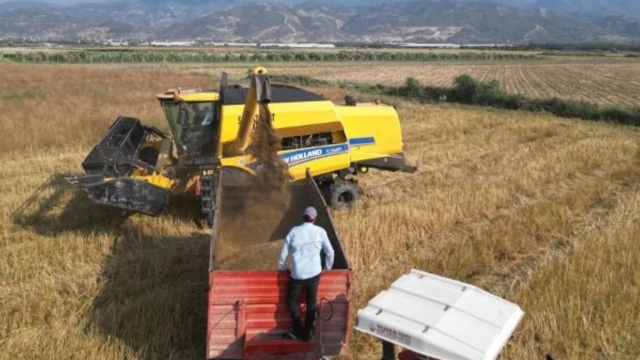 Foto - Kilogram fiyatı 100TL! Türkiye'nin her yerine bu ilimizden gidiyor