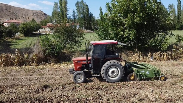 Foto - Kilosu 10-13 TL arasında değişiyor! Güneş ışığıyla lezzetlenen patates: Agria