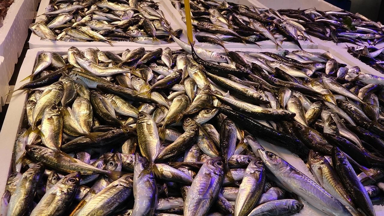 Foto - Balık şifa dolu, derisini sakın çöpe atmayın! Hafızayı güçlendiriyor, kalbi koruyor