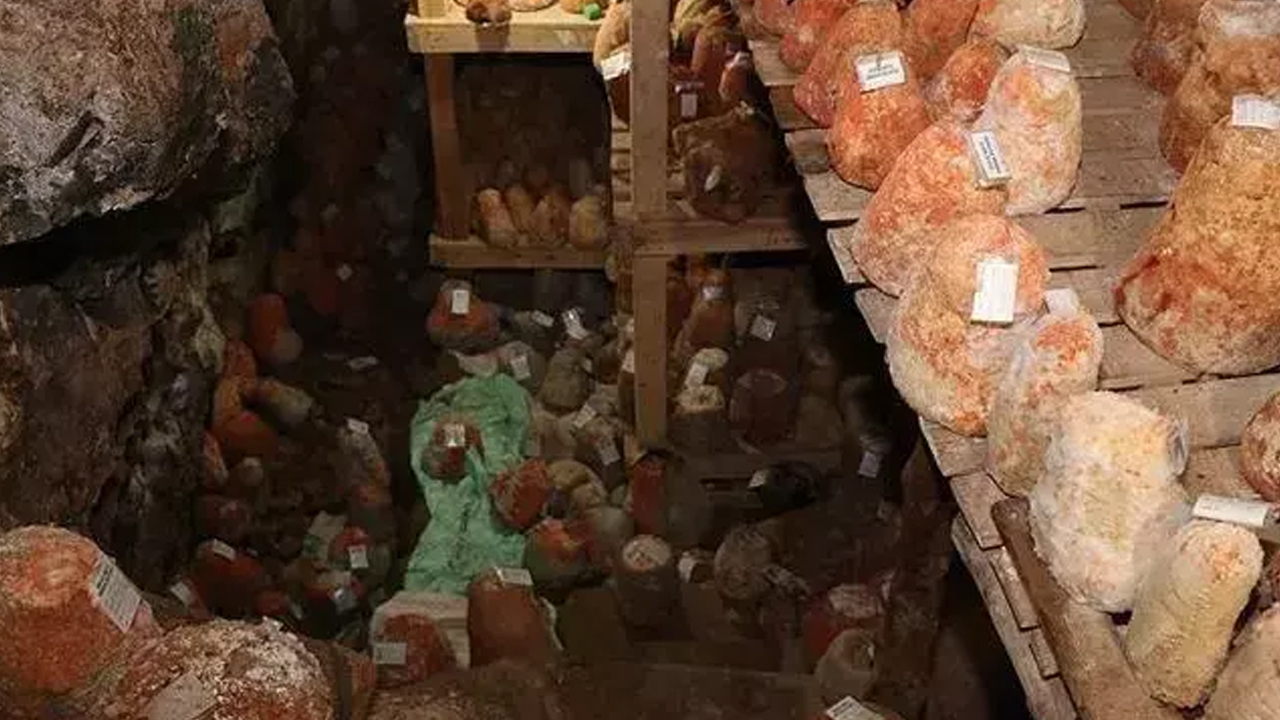 Foto - Kilosu 1000 liradan satılıyor, önemli besin kaynağı: Damarları yağ çözücü gibi tertemiz yapıyor, kalsiyumu zirveye taşıyor!