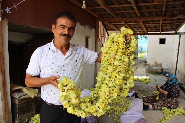 Foto - Kilosu 1000 TL! Altından daha kolay satılıyor