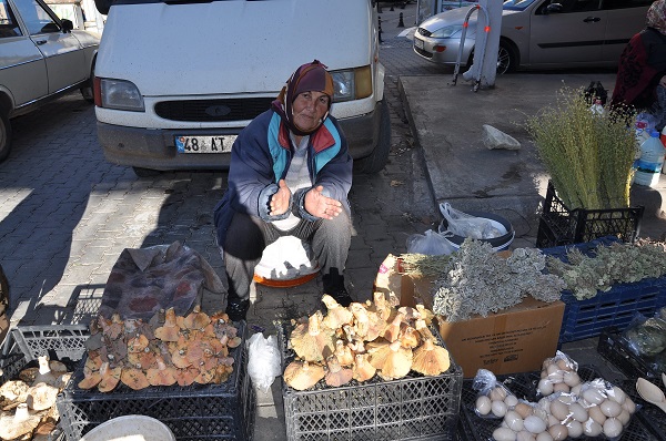 Foto - Kilosu 150 TL! Tam bir şifa deposu