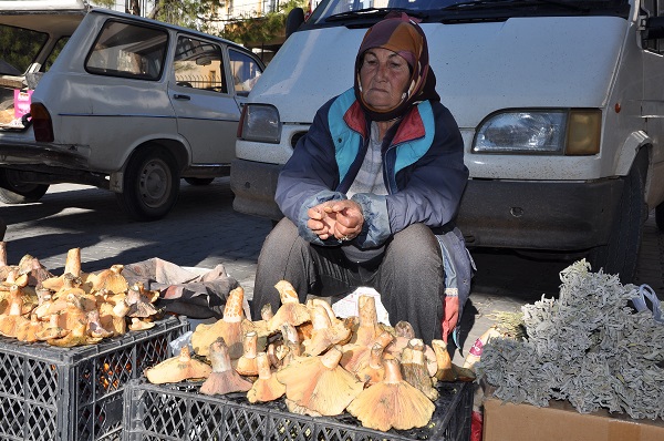 Foto - Kilosu 150 TL! Tam bir şifa deposu