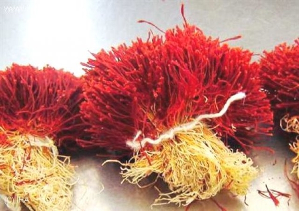 Foto - Kilosu 20 bin TL!